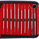 Waldent Conservative Instrument Kit of 20 (K15/1)