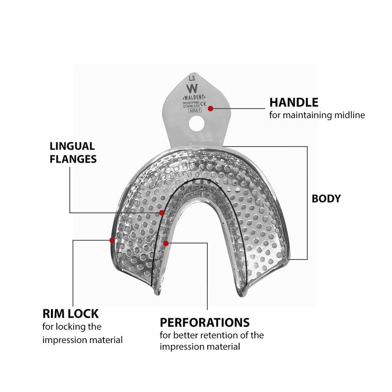 Waldent Dentulous Perforated Rim Lock Impression Trays K18/3