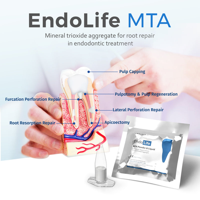 Waldent Endolife MTA (One Treatment Kit)