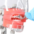 Waldent Vestibulum Lip & Cheek Retractors - Image 7