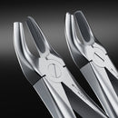Waldent Extraction Forceps Kit Set of 12 (K1/1) - Image 12