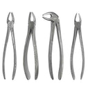Waldent Extraction Forceps Kit Set of 12 (K1/1) - Image 18