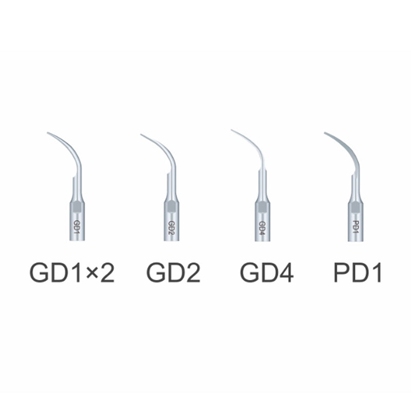 Waldent RTA D1 Ultrasonic Scaler By Woodpecker
