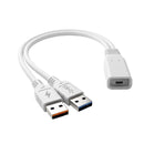 Waldent BLZ IntraVue 900 Ai Intraoral Scanner Calibration Cable (USB Type) - Image 1