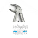 Waldent Premium Pedo Extraction Forceps Lower Molar No. 160 (1/136) - Image 5