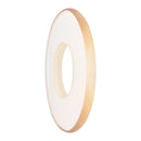 Waldent Backscatter Shield for V- Light Eco Gold DC X-Ray Machine