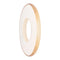Waldent Backscatter Shield for V- Light Eco Gold DC X-Ray Machine