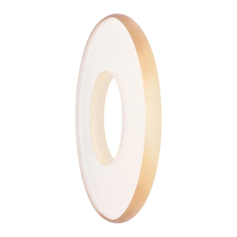 Waldent Backscatter Shield for V- Light Eco Gold DC X-Ray Machine