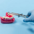 Waldent Rubber Dam Forcep - Stokes (16/137) - Image 1