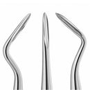 Waldent Flohr Root Elevators with Shot Blast Handle - Image 4
