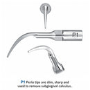 Waldent Scaler Tip P1 for UDS & EMS Scalers (Pack of 1) - Image 5