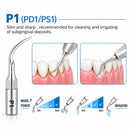 Waldent Scaler Tip P1 for UDS & EMS Scalers (Pack of 1) - Image 2