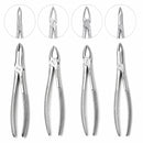 Waldent Standard Tooth Extraction Forceps - Set of 10 (K1/12) - Image 3