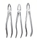 Waldent Tooth Extraction Forcep Kit set of 12 - Anatomic Premium (K1/10) - Image 2