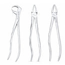 Waldent Tooth Extraction Forcep Kit Set of 12 Anatomic Ultra K1/11