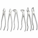 Waldent Tooth Extraction Forcep Kit Set of 12 Anatomic Ultra K1/11