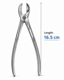 Waldent Tooth Extraction Forceps Lower Molars No. 56 (1/119) - Image 4