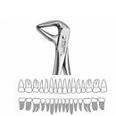 Waldent Tooth Extraction Forceps Lower Roots No.959 1/169