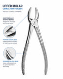 Waldent Tooth Extraction Forceps Upper Molars No. 55 (1/118) - Image 3