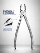Waldent Tooth Extraction Forceps Upper Molars No. 55 (1/118) - Image 5
