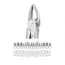 Waldent Tooth Extraction Forceps Upper Roots No. 76N (1/121) - Image 5