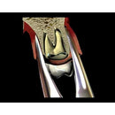 Waldent Tooth Extraction Forceps Upper Roots No. 76N (1/121) - Image 6