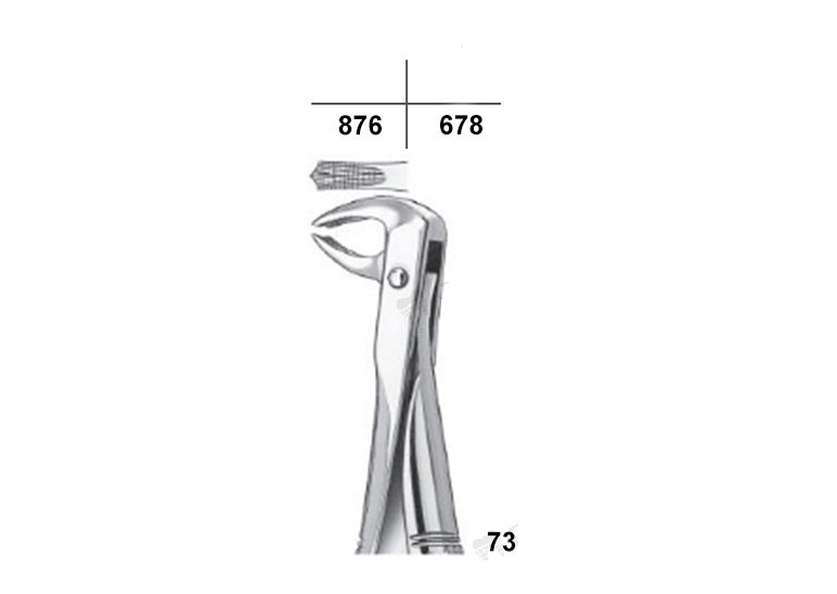 Waldent Tooth Extraction Forcep