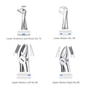 Waldent Extraction Forceps Kit Set of 12 (K1/1)