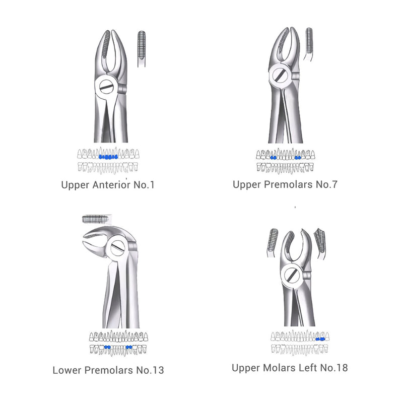 Waldent Extraction Forceps Kit Set of 12 (K1/1)