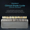 Waldent Clinical Shade Guide (German Standard)