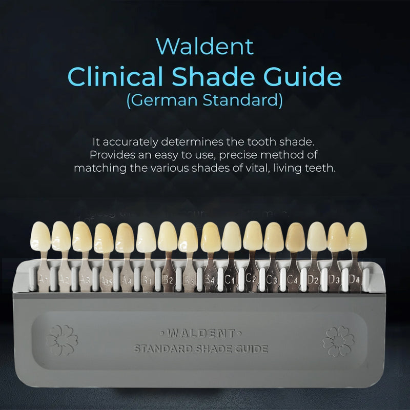 Waldent Clinical Shade Guide (German Standard)