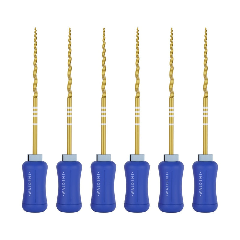 Waldent Pro-Taper Hand Files 31mm