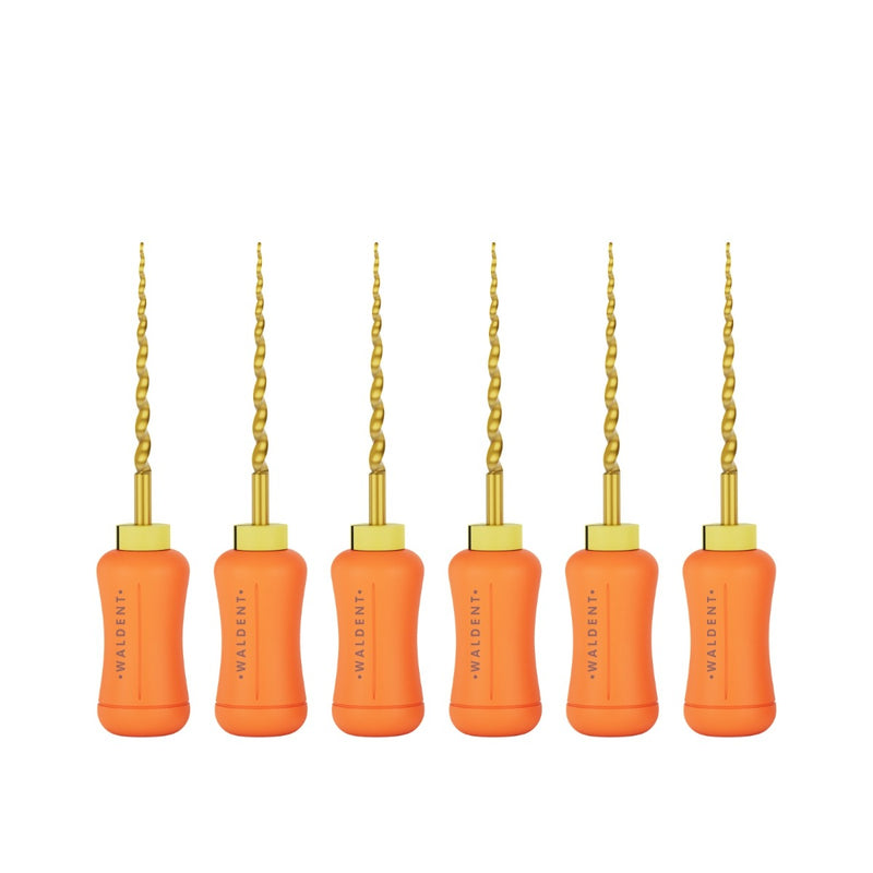 Waldent Pro-Taper Hand Files 31mm