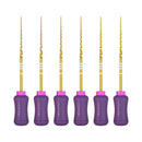 Waldent Pro-Taper Hand Files 31mm