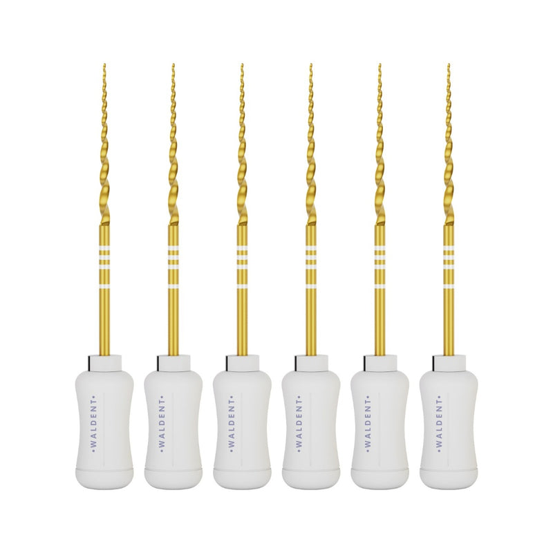 Waldent Pro-Taper Hand Files 31mm