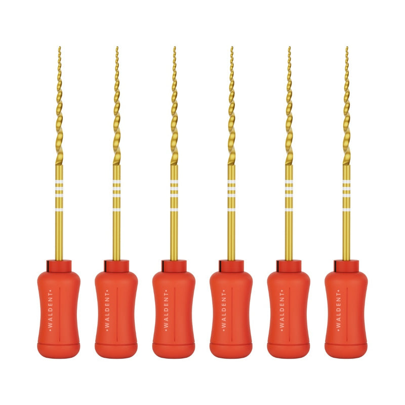Waldent Pro-Taper Hand Files 31mm