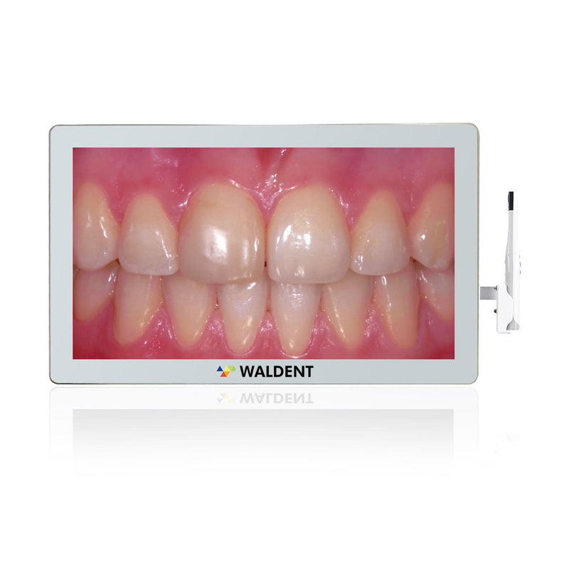 Waldent Intraoral Camera with TouchScreen & RVG Model