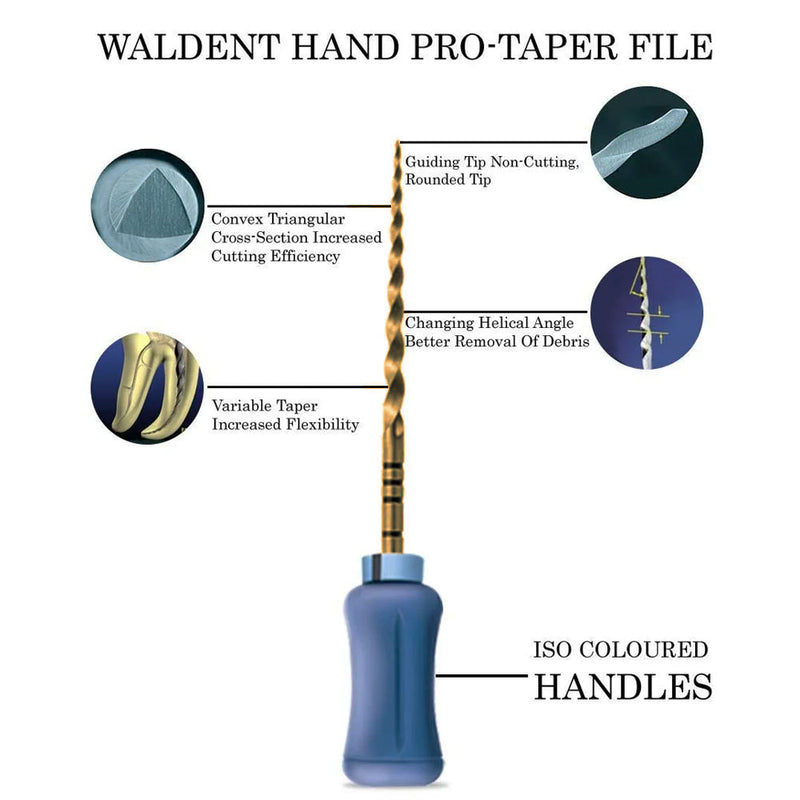 Waldent Pro-Taper Gold Hand files