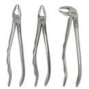 Waldent Atraumatic Extraction Instruments Forceps Kit Set of 6 - Anatomic Handle K1/6