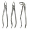 Waldent Atraumatic Extraction Instruments Forceps Kit Set of 6 - Anatomic Handle K1/6