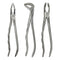 Waldent Atraumatic Extraction Instruments Forceps Kit Set of 6 - Anatomic Handle K1/6