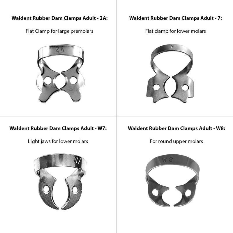 Waldent Rubber Dam Clamps - Adult