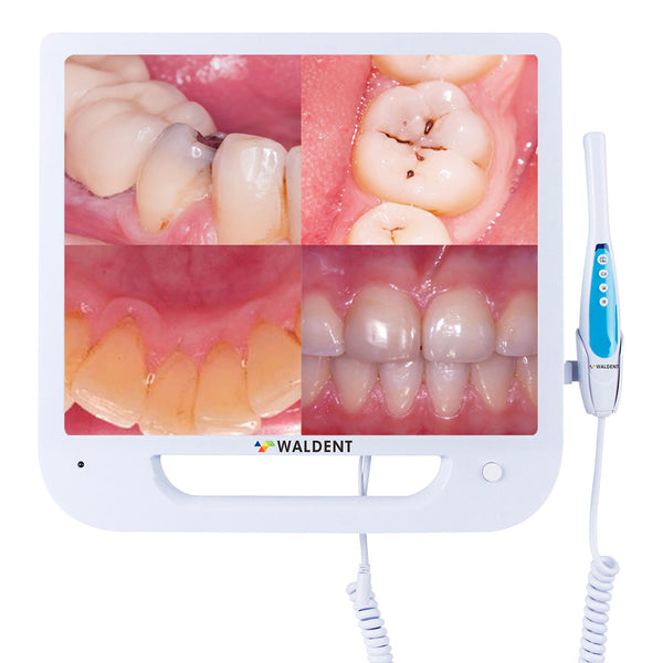 Waldent Intra Oral Camera with Screen - Ergo (10 MP)