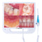 Waldent Intra Oral Camera with Screen - Ergo (10 MP)