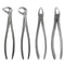 Waldent Extraction Forceps Kit Set of 12 (K1/1)