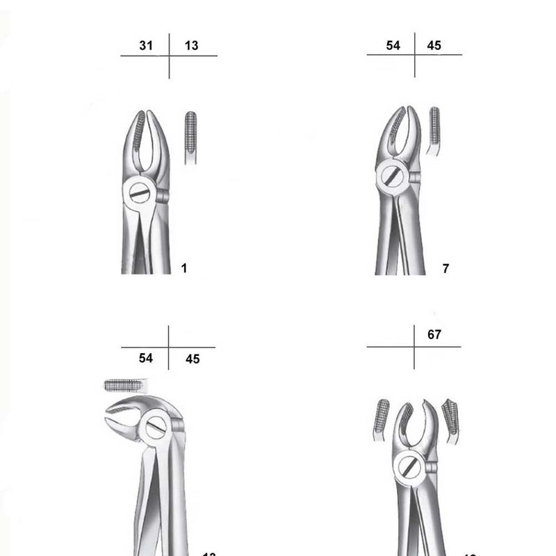 Waldent Extraction Forceps Kit Set of 12 (K1/1)