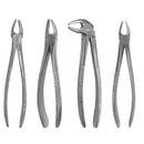 Waldent Extraction Forceps Kit Set of 12 (K1/1)