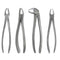 Waldent Extraction Forceps Kit Set of 12 (K1/1)