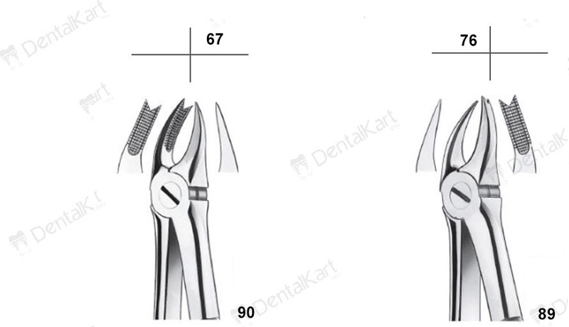 Waldent Tooth Extraction Forcep