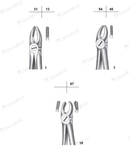 Waldent Tooth Extraction Forcep